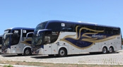 Natal Transfer tem ônibus Executivo do novo aeroporto para Ponta Negra 