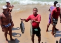 Cena comum de ver próximo aos guardas sóis da praia de Pipa, no largo de São Sebastião, quandos pescadores retornam de suas pescarias exibindo os peixes aos curiosos turistas.